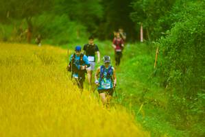 BIB: 
                            <button type="button" onclick="openModal(13455555)" class="btn btn-primary btn-sm float-right btn-popup" data-toggle="modal" data-target=".modal-high-quality">
                        <i class="fas fa-shopping-cart"></i> Add to Cart
                    </button>
                                            <button type="button" onclick="isThisMe(13455555, true)" class="btn btn-success btn-sm float-right btn-popup btn-isme hidden" data-toggle="tooltip" data-placement="bottom" title="นี่คือรูปของคุณใช่ไหม คลิกที่นี่เพื่อเอาเข้าอัลบั้ม">
                        <i class="fas fa-plus"></i> Add to album
                    </button>
                    <button type="button" onclick="isThisMe(13455555, false)" class="btn btn-warning btn-sm float-right btn-popup btn-isnotme hidden">
                        <i class="fas fa-ban"></i> Remove from album
                    </button>